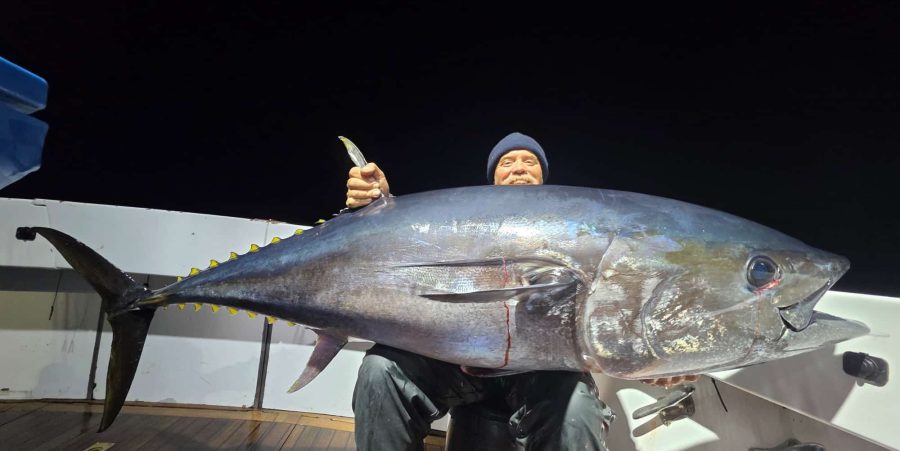 Epic night jigging