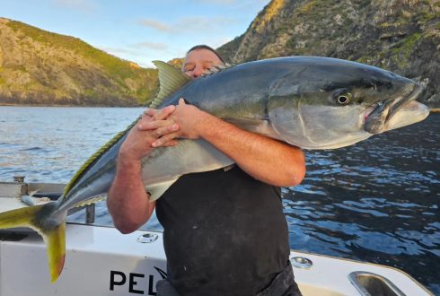 Kingfish fishing charter Three Kings Islands