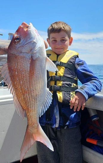 Snapper fishing charter Auckland