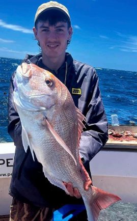 Snapper fishing charter AKL